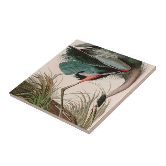 Great Blue Heron Birds of America Audubon Print Tegeltje (Zijkant)