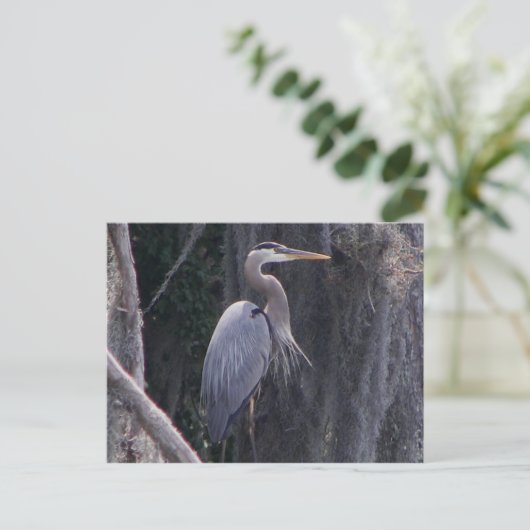Great Blue Heron Briefkaart (Staand voorkant)