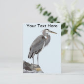 Great Blue Heron Briefkaart (Staand voorkant)
