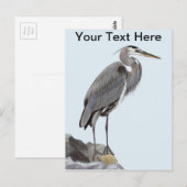 Great Blue Heron Briefkaart (Voorkant / Achterkant)