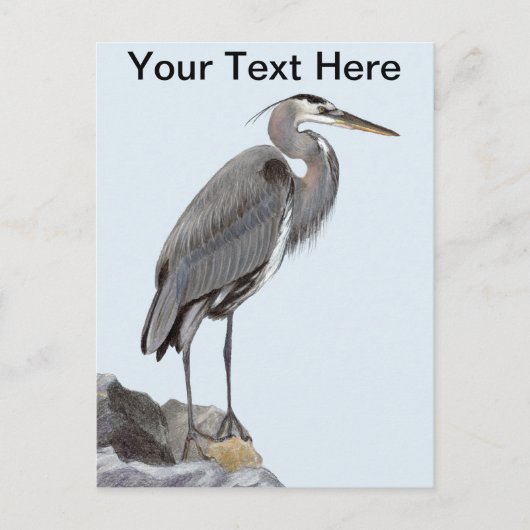 Great Blue Heron Briefkaart (Voorkant)
