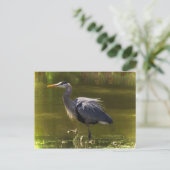 Great Blue Heron Briefkaart (Staand voorkant)