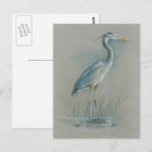 Great Blue Heron Briefkaart (Voorkant / Achterkant)