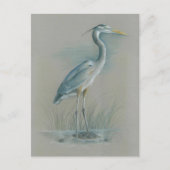 Great Blue Heron Briefkaart (Voorkant)