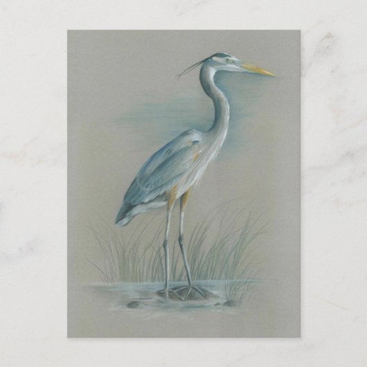Great Blue Heron Briefkaart (Voorkant)