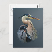 Great Blue Heron Briefkaart (Voorkant / Achterkant)