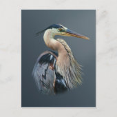 Great Blue Heron Briefkaart (Voorkant)