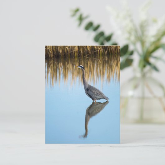 Great Blue Heron Briefkaart (Staand voorkant)