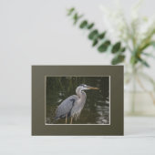 Great Blue Heron Briefkaart (Staand voorkant)