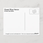 Great Blue Heron Briefkaart (Achterkant)