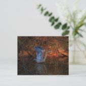 Great Blue Heron Briefkaart (Staand voorkant)