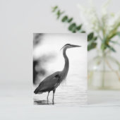 Great Blue Heron Briefkaart (Staand voorkant)