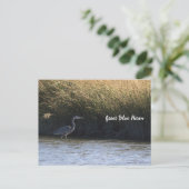 Great Blue Heron Briefkaart (Staand voorkant)