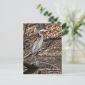 Great Blue Heron Briefkaart (Staand voorkant)