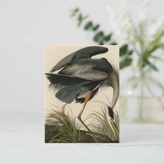 Great Blue Heron Briefkaart (Staand voorkant)