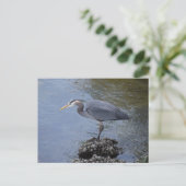 Great Blue Heron Briefkaart (Staand voorkant)