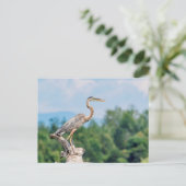 Great Blue Heron Briefkaart (Staand voorkant)