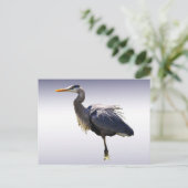 Great Blue Heron Briefkaart (Staand voorkant)