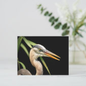Great Blue Heron Briefkaart (Staand voorkant)