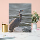 Great Blue Heron by the Water Acryl Bord (Huwelijk)