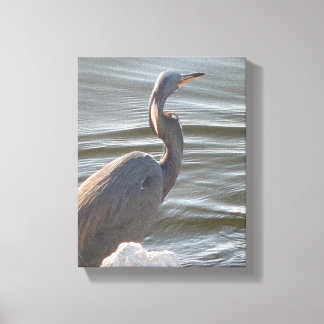 Great Blue Heron by the Water Canvas Afdruk