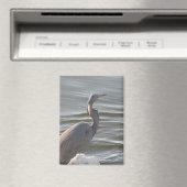 Great Blue Heron by the Water Magneet (Insitu (Vaatwasser))