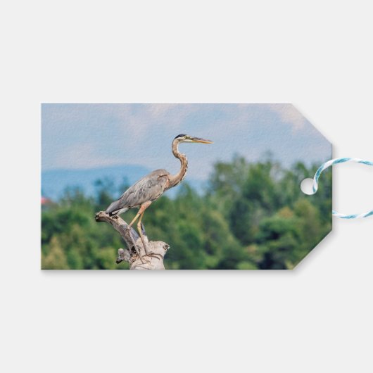 Great Blue Heron Cadeaulabel (Voorkant (Horizontaal))