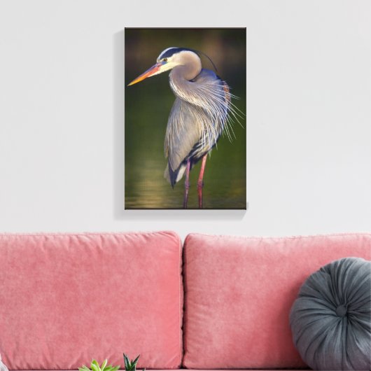 Great Blue Heron Canvas Afdruk (Insitu (Woonkamer))