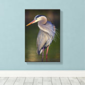 Great Blue Heron Canvas Afdruk (Insitu (Houten vloer))