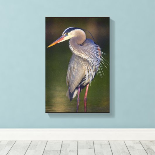 Great Blue Heron Canvas Afdruk (Insitu (Houten vloer))