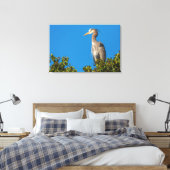 Great Blue Heron Canvas Afdruk (Insitu (Slaapkamer))