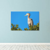 Great Blue Heron Canvas Afdruk (Insitu (Houten vloer))
