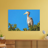Great Blue Heron Canvas Afdruk (Insitu (Woonkamer))