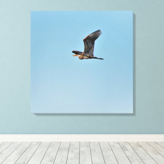 Great Blue Heron Canvas Afdruk (Insitu (Houten vloer))