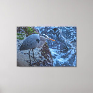 Great Blue Heron Canvas Afdruk