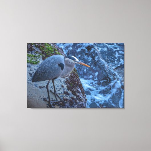 Great Blue Heron Canvas Afdruk (Voorkant)