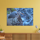Great Blue Heron Canvas Afdruk (Insitu (Woonkamer))