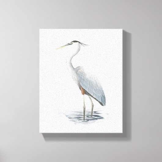 Great Blue Heron Canvas afdrukken (Voorkant)