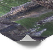 Great Blue Heron Canvas afdrukken Poster (Hoek)