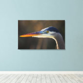 Great Blue Heron, close up portret Canvas Afdruk (Insitu (Houten vloer))