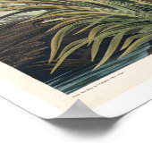 Great Blue Heron door het Poster van Audubon (Hoek)