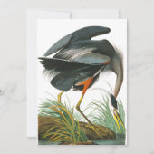Great Blue Heron door John James Audubon Bedankkaart (Voorkant)
