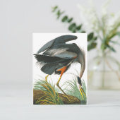 Great Blue Heron door John James Audubon Briefkaart (Staand voorkant)