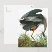 Great Blue Heron door John James Audubon Briefkaart (Voorkant / Achterkant)