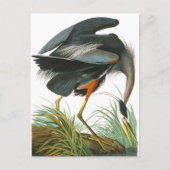Great Blue Heron door John James Audubon Briefkaart (Voorkant)