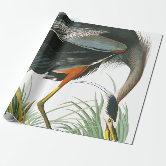 Great Blue Heron door John James Audubon Cadeaupapier (Uitgerold)