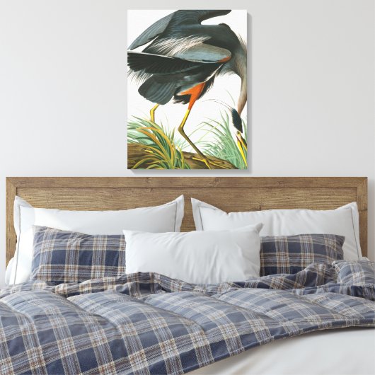 Great Blue Heron door John James Audubon Canvas Afdruk (Insitu (Slaapkamer))