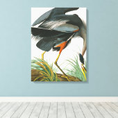 Great Blue Heron door John James Audubon Canvas Afdruk (Insitu (Houten vloer))