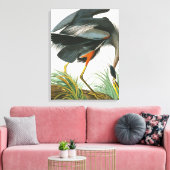 Great Blue Heron door John James Audubon Canvas Afdruk (Insitu (Woonkamer))