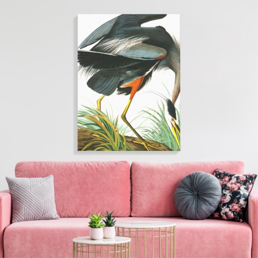 Great Blue Heron door John James Audubon Canvas Afdruk (Insitu (Woonkamer))